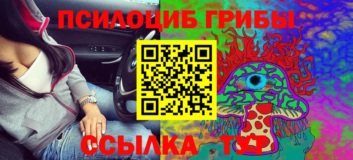 Псилоцибиновые грибы Cubensis Черногорск